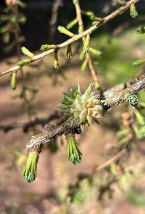 ������ ����, ��������������� �������!