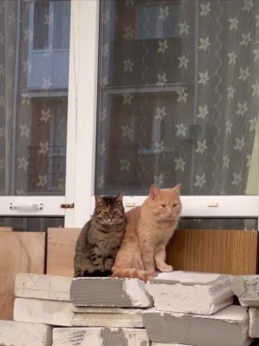 � ��������� �������� ������ � ��������������� ������� ��������� ����������� � �����