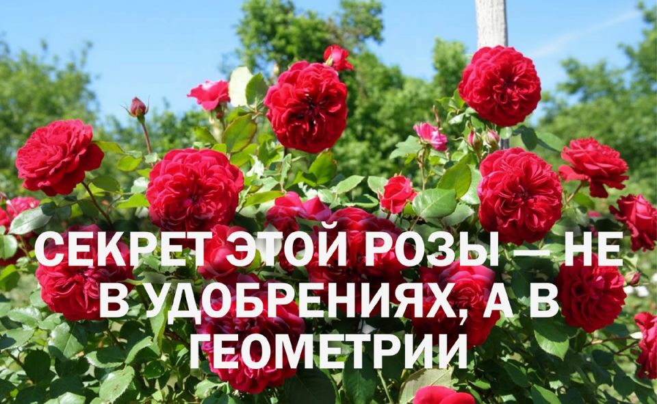 ��������� ���������: ������� ����� ���� ������ ��� ������������� ����