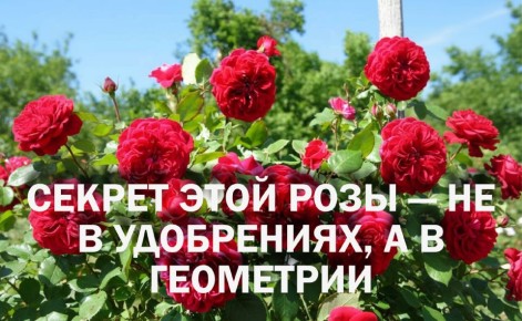 ��������� ���������: ������� ����� ���� ������ ��� ������������� ����