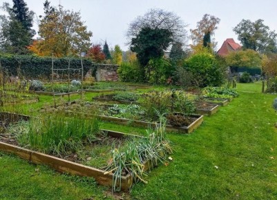 ������� ����� �� �������: ��� �� ��������?