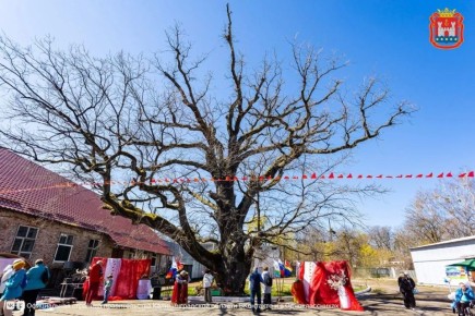 ������� �������������: ������ ������� �� ������� ������� ������� �� ���������� ��� � ������������ ������, ������ ����� �������� ��������� ��� ����