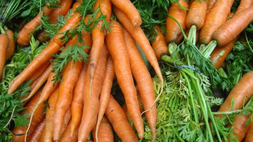 ����� 2025: ��������� ������� ��� ������ �������