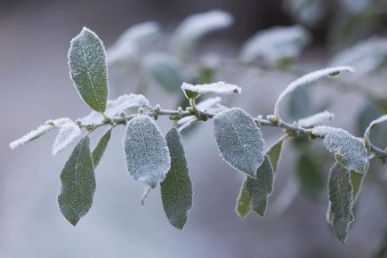 � ��������������� ������� ��������� ������ ��������� �� -4��