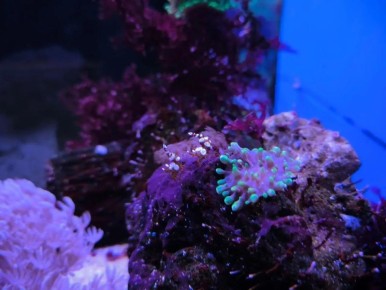 � ��������� ����� �������� ������ ��������� ���������� ��������