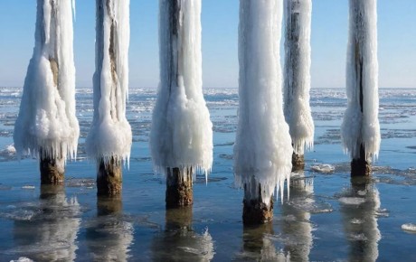 ������� ����� ����������� ������������� ��������������� �������