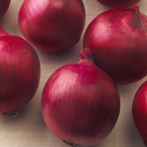 ��� ������: ��������� ������ ��� �����������