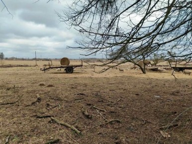 ��� ����������� ����� �������� ��-��� �������� ����� ���