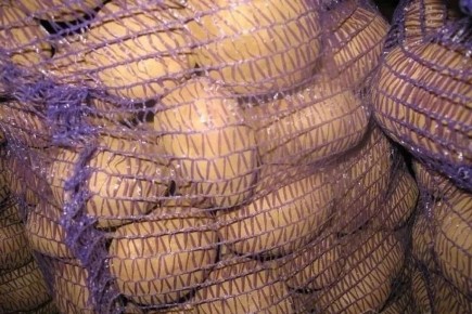 ��������� ��������� ��� ��������������� ����������� ���������� ����������������� �� ���������� � �������