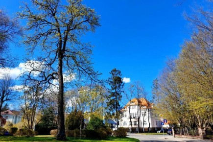 � ������������ ������� ������������� ������� �� ������������ � ���������� ���������