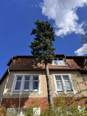 � ������������ �������� ������ ������������ �������