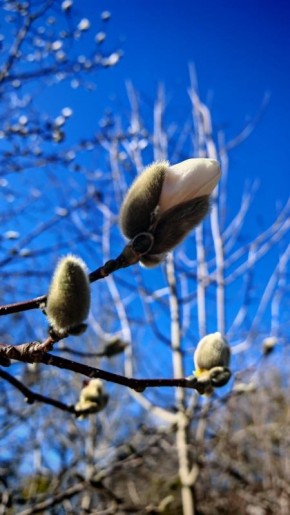 ������ �������� ������: ����������� �� ��������� ���� ������� � ������� �����