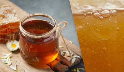 ������ ����� ���������� � �������� ����: ������� ������������� � ������� �������