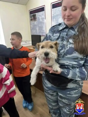 ��������������� ��������� ������������� � ������� ��������� � ��������� ����� ���� ������ �� ��������������� �������