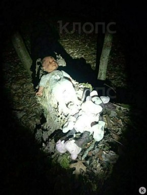 ��������� ������ �� ��������, �������� ������ � �������� ������: ������������� ���������� � �������� �������� � �����