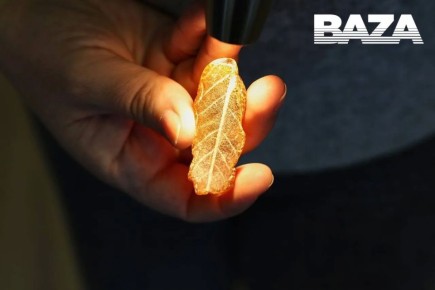 � ������������ ����� ������ � ���������� ����� ��������������� ����, ������������ 2,5 ��� ��� �����