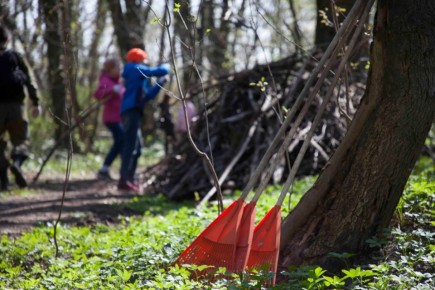 �������������� ���������, ��� ��������� ������������� ������������ ������