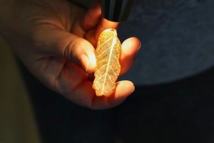 �������! � ��������������� ������� ����� ������ � ���������� ����� �������� ����