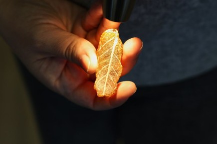 � ������������ ����� ������ � ���������� ����� ��������������� ����, ������������ 2,5 ��� ��� �����