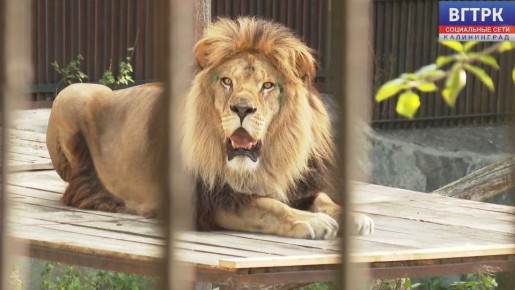 � 1 ��� ��������������� ������� ��������� �� ������ ������ ������