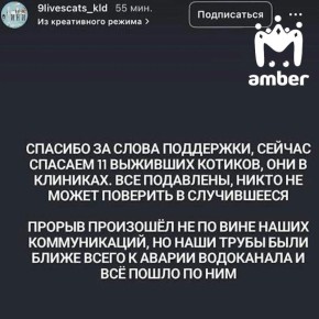 ������� ������ � ���������� � "����������" ����� � �������� �� ����, ������� � ����� ������������