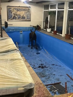 ���� �������� � ��� � ������ ������������
