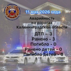 �� ����� ������������ ���������������� �������� 222 ��������� ������ ��������� ��������, � ��� �����: