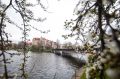 Синоптики рассказали, когда в Калининградскую область придёт потепление
