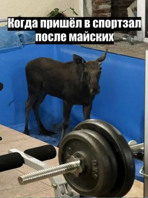 �� ��������� ��� ���� ���� �������