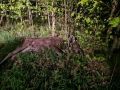 ������� ������� �����������, ��� ������ ���� ����� � �������