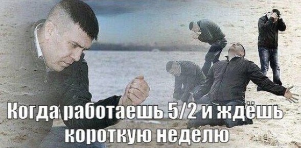 ������� ���� ��� ��� �������� ������� ������ � 2026 ����