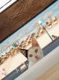 � ��������� ������� ��������������� ������� �������� ����� � ��������