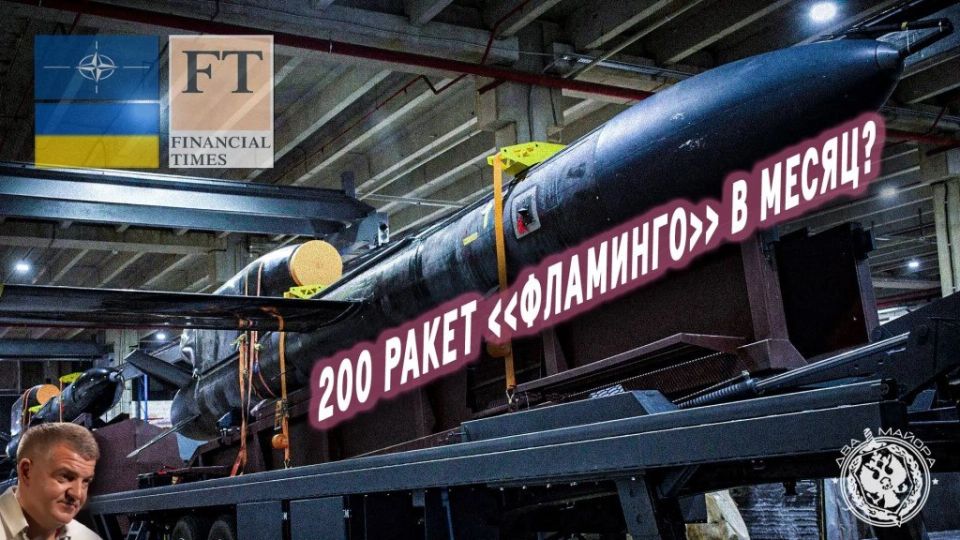 Эдуард Басурин: Fire Point: как бывшие киношники рвутся в бой