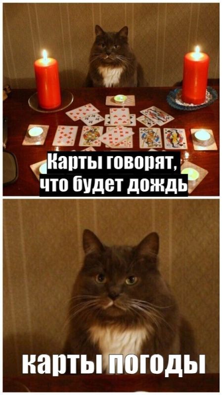 Дождь начнется в Калининграде через час