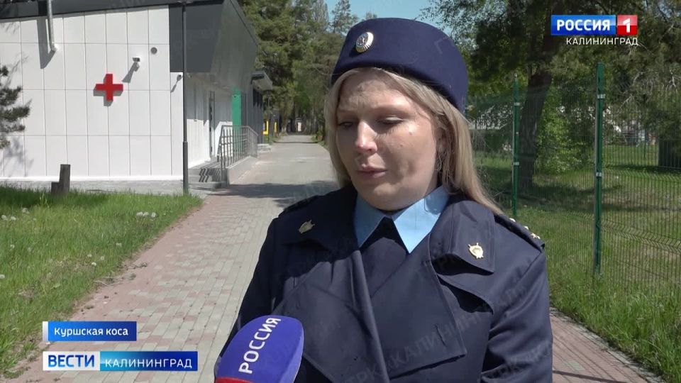 Более 50 тысяч ребят рассчитывают принять летние лагеря Калининградской области в этом сезоне