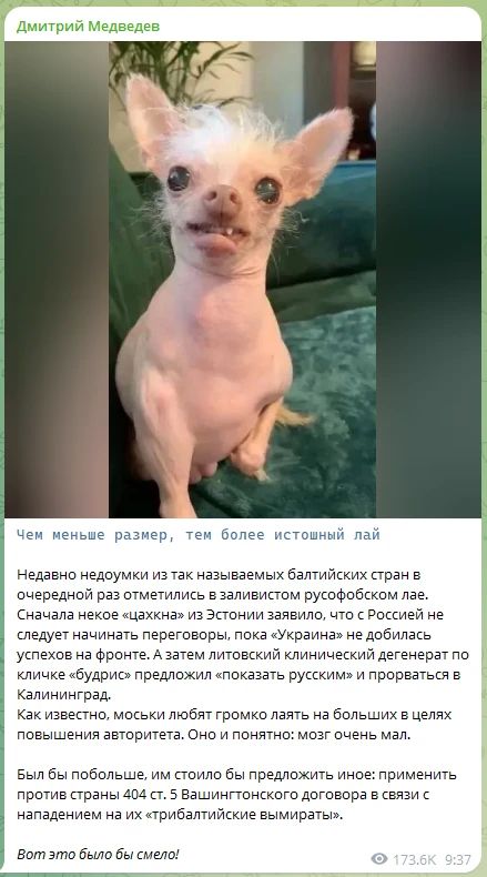 Медведев сравнил риторику стран Балтии с "лаем мосек"