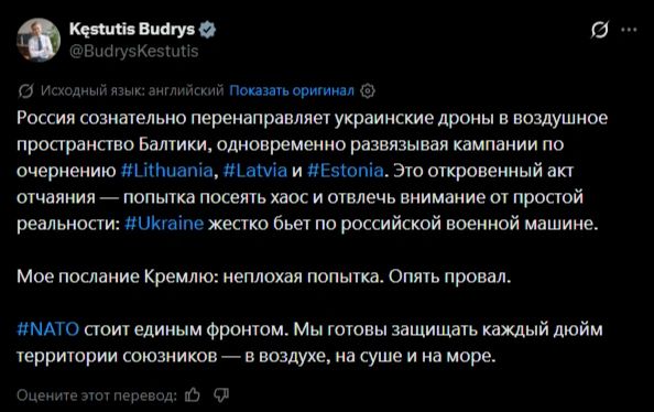 Россия сознательно направляет украинские БПЛА в воздушное пространство стран Балтии, заявил глава МИД Литвы