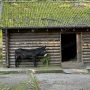 Завтра калининградский зоопарк масштабно отметит 130-летний юбилей грандиозным городским праздником