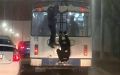 Калининград огорошили числом заявлений в полицию камикадзе с транспорта