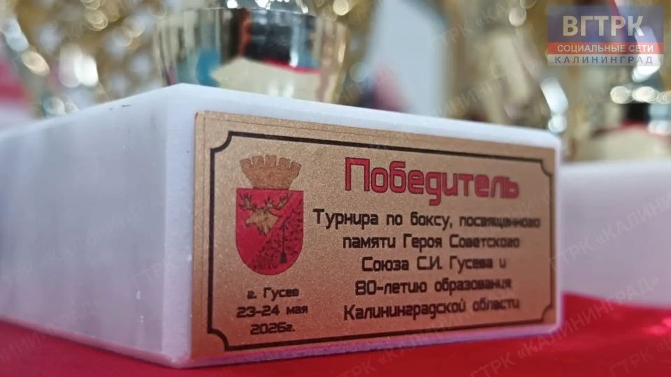 В Гусеве стартовал турнир по боксу памяти Героя Советского Союза Сергея Гусева В Гусеве стартовал турнир по боксу памяти Героя Советского Союза Сергея Гусева