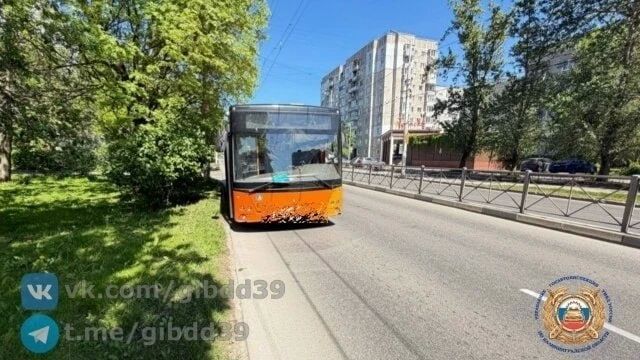 Трёхлетняя девочка попала в больницу после резкого торможения автобуса на Горького