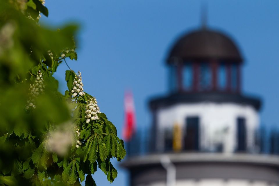 Специально для вас собрала красивые локации с каштанами Специально для вас собрала красивые локации с каштанами