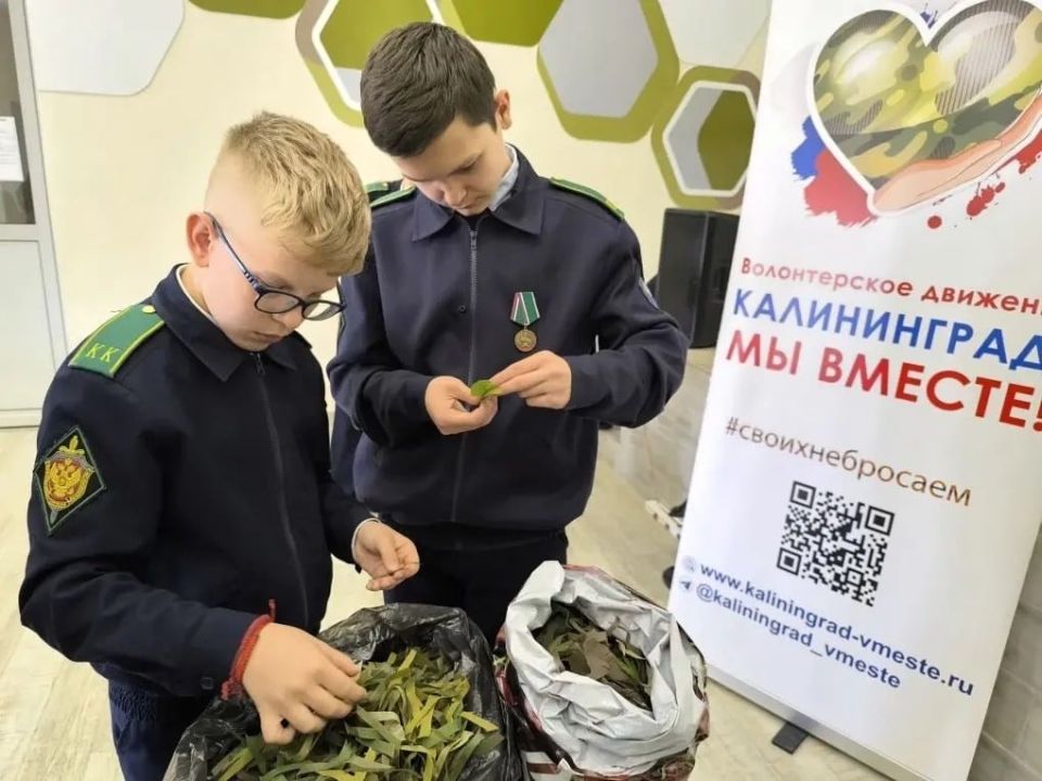 Учащиеся кадетских классов из Гурьевска изготовили масксети и сухой душ для военнослужащих Учащиеся кадетских классов из Гурьевска изготовили масксети и сухой душ для военнослужащих