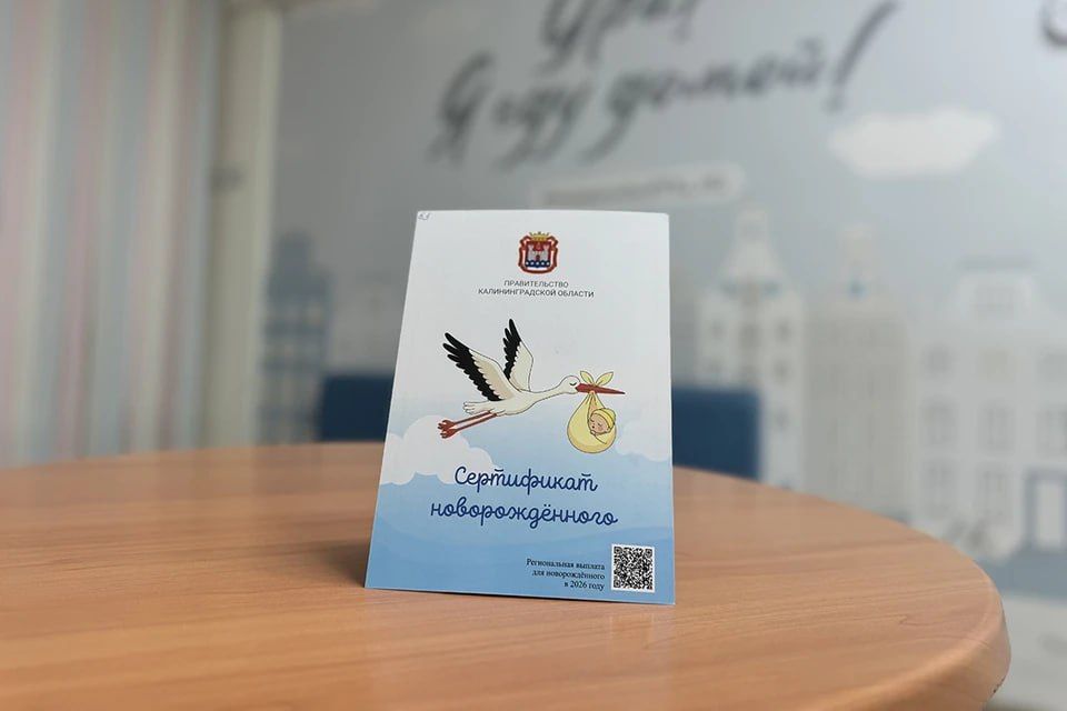 Выплата при рождении ребёнка в Калининграде переходит в формат электронного сертификата