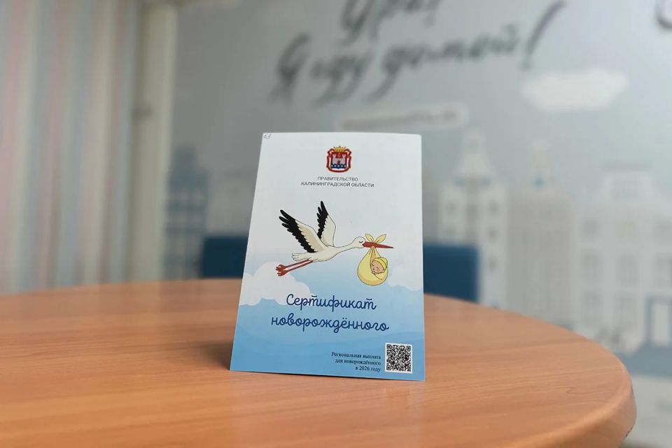 «Подарок новорождённому» переведут в электронный формат