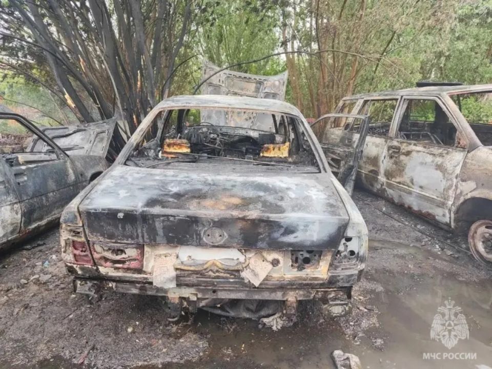 На Тбилисской улице в Калининграде потушили три горящие машины На Тбилисской улице в Калининграде потушили три горящие машины