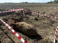 В Калининградской области уничтожили 100-килограммовую авиабомбу времён войны