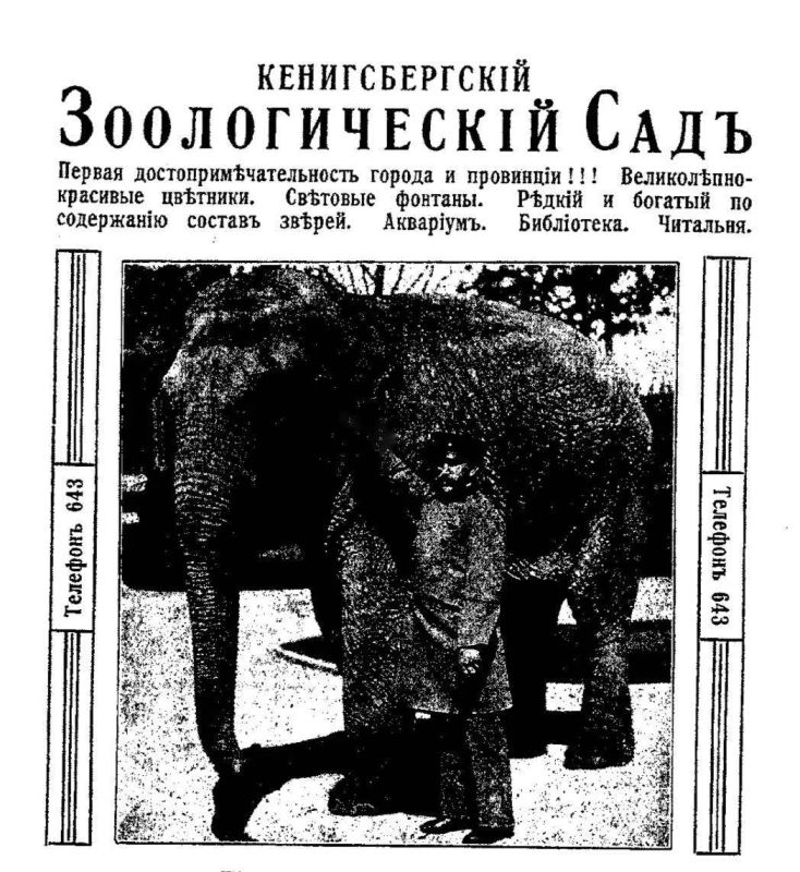 На прошлой неделе Калининградский зоопарк праздновал своё 130-летие