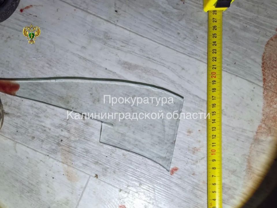 Прокуратура направила в суд уголовное дело для применения принудительной меры медицинского характера в отношении жительницы Калининграда, совершившей убийство знакомого
