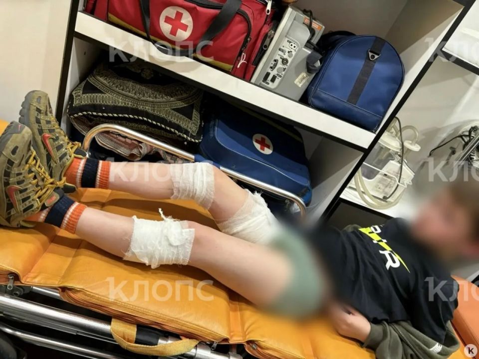 В Чкаловске стаффорд без поводка покусал двух 9-летних мальчиков В Чкаловске стаффорд без поводка покусал двух 9-летних мальчиков